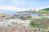 Blueberry Hill, Schoodic
