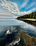 Orr Cove