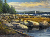 Tidal Pool, Boothbay