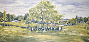 The Aldermere Farm